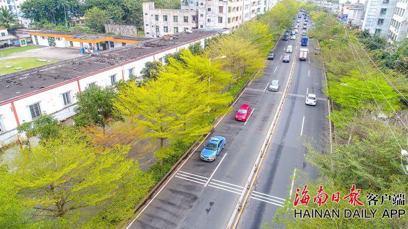 【吃瓜网站最新热门话题】我国科学家破解耳蜗听觉毛细胞发育“基因暗码”