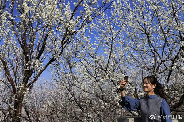 【黄瓜视频秋葵视频香蕉视频91视频】新年假期第三天 上海新春假期旅行迎来新高潮