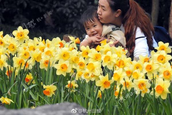【猫扑视频播放】数名美国花滑运动相关人员在美坠毁客机上