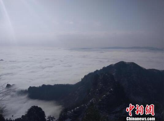 【⚠️禁漫天堂免费入口免费】数名美国花滑运动相关人员在美坠毁客机上