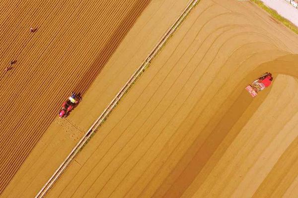 2024年上海市外贸规划再创前史新高 出口同比增加4.6%